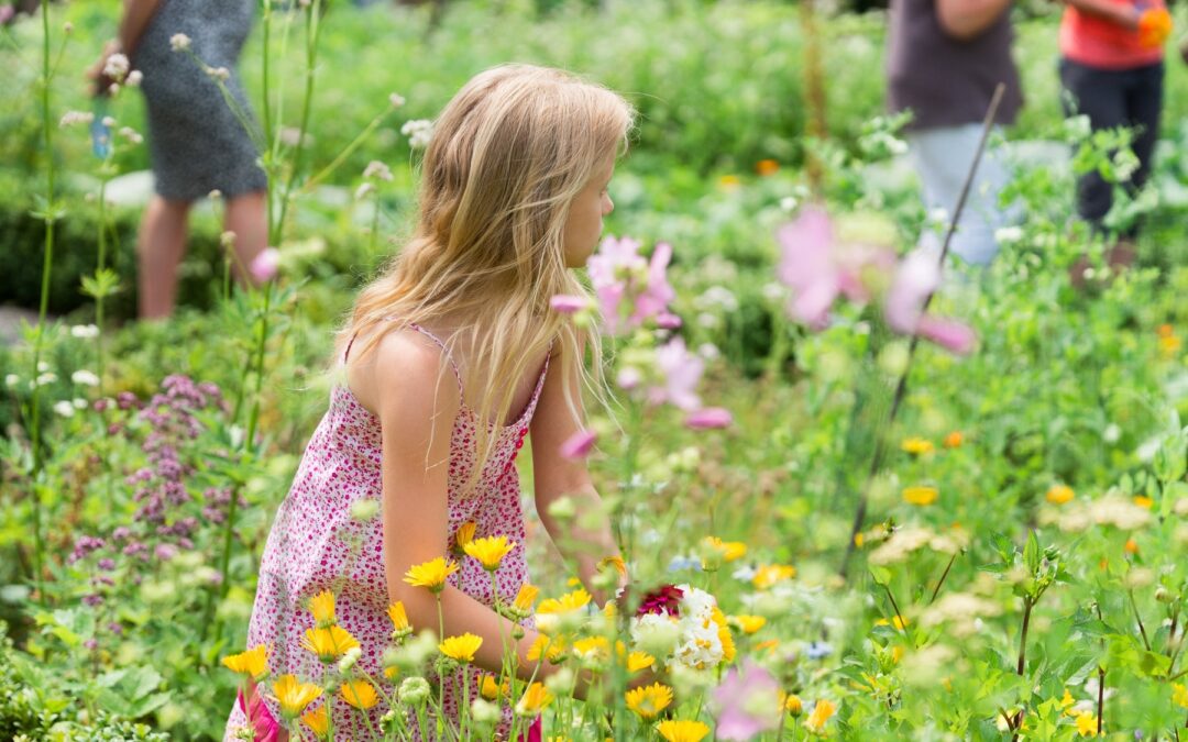 Gartenkonzert 2017